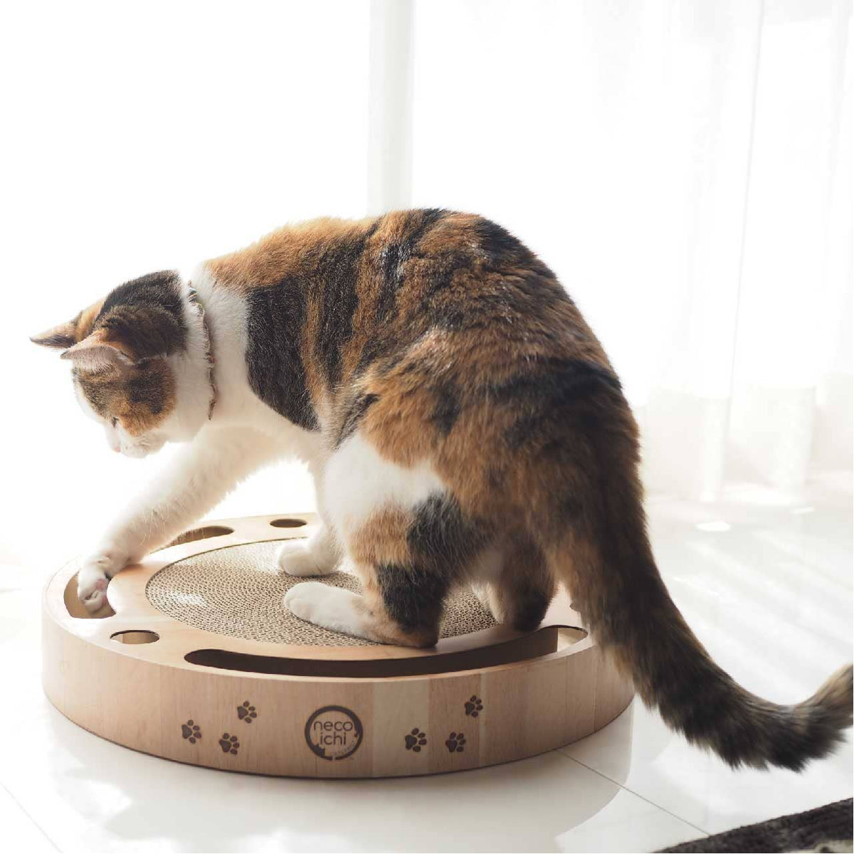Necoichi Interactive Track Ball Cat Scratcher