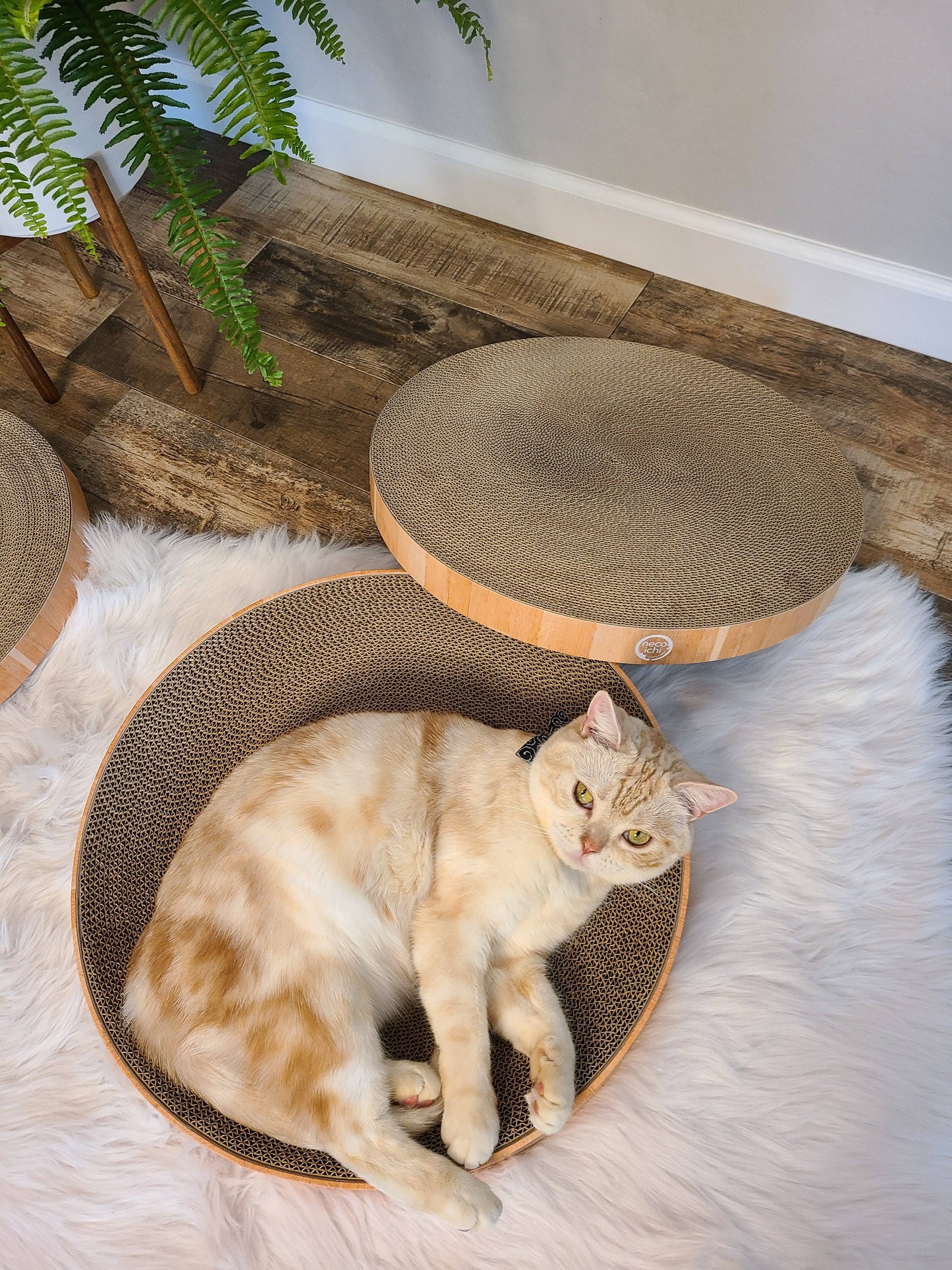 Cozy Cat Scratcher Bowl Replacement Pad XL (Oak, 2 pack)