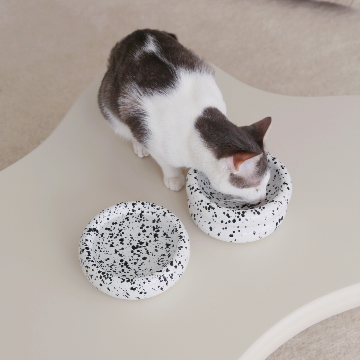 Halo Cat Bowl in Ink