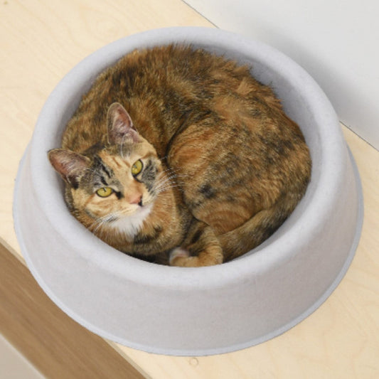 Cozy on Mat Cat Lounge