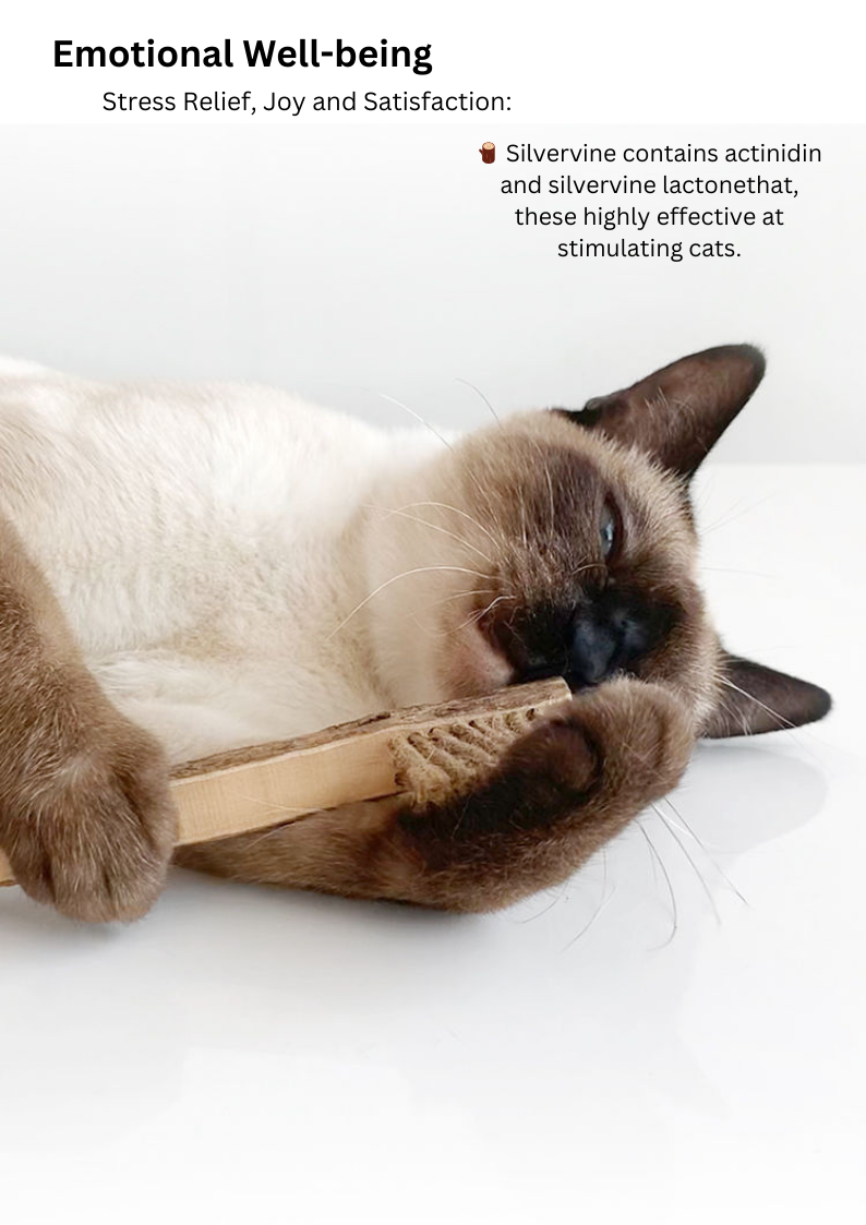 CATWANT Silvervine Toothbrush Cat Chew Toy