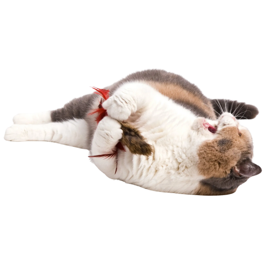 Go Cat Da Fur Thing — Rabbit Fur & Feather Cat Wand Toy