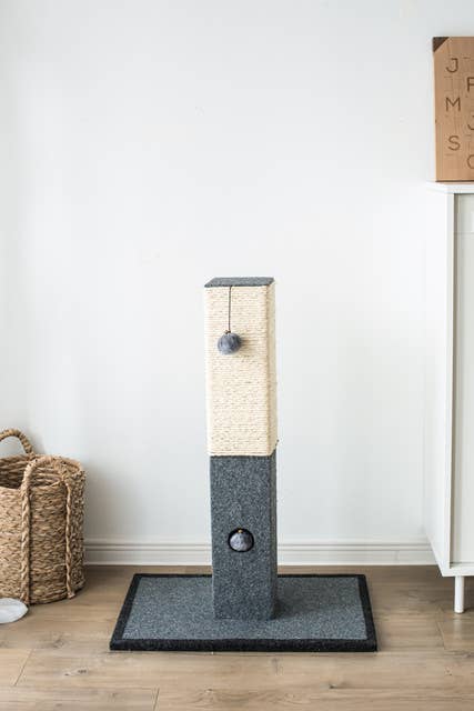 Catry Natural Minimalist Cat Scratching Post
