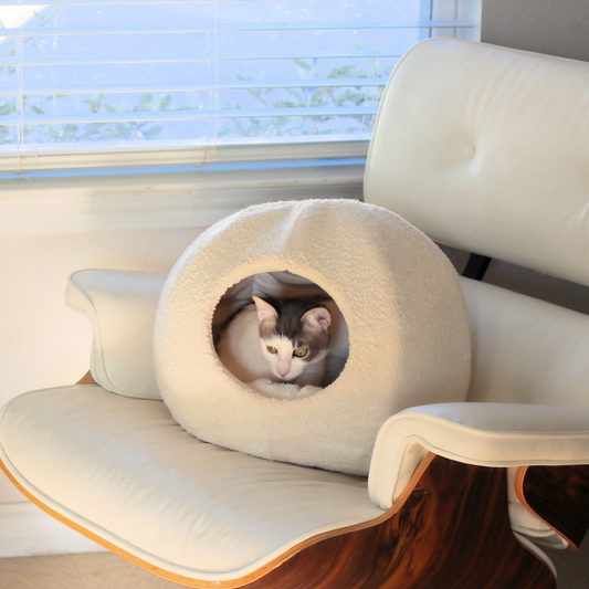 Moon Pet Cave - Boucle