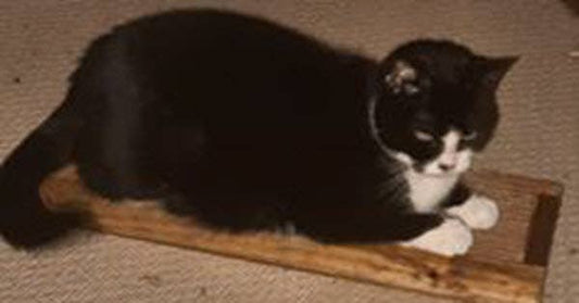 Handmade Wooden Cat Scratch Board | Cat Scratcher Guy
