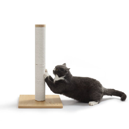 Premium Comfort Scratching Post