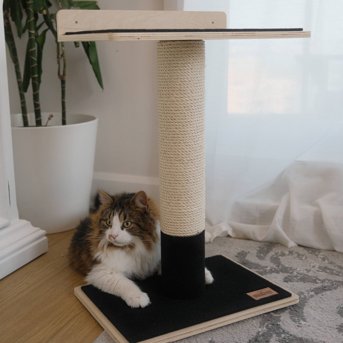 Noba Modern 1-Level Cat Tree