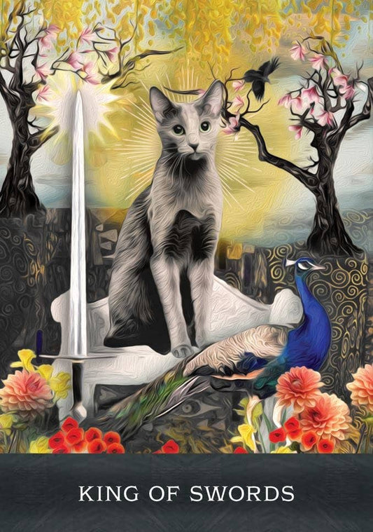 Grimalkin's Curious Cats Tarot Cards