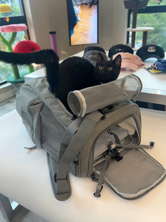 Travel Cat The Navigator Convertible Cat Backpack