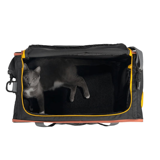 Travel Cat Pack & Paw Collapsible Cat Crate & Carrier