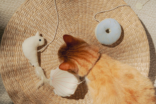 Cat Toy Donut