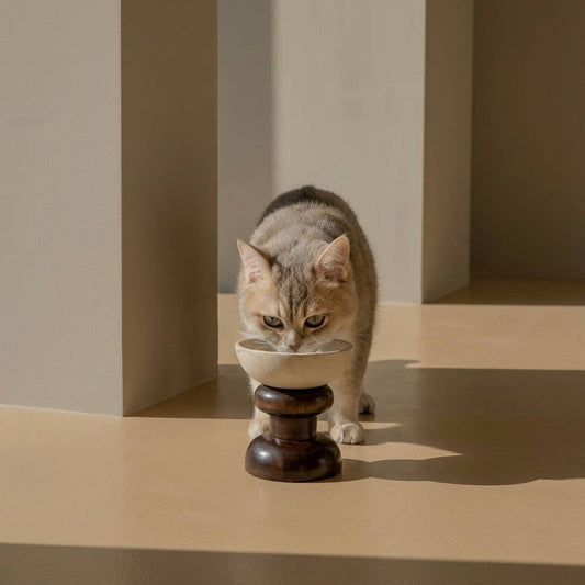 Fontana Stone Cat Bowl II