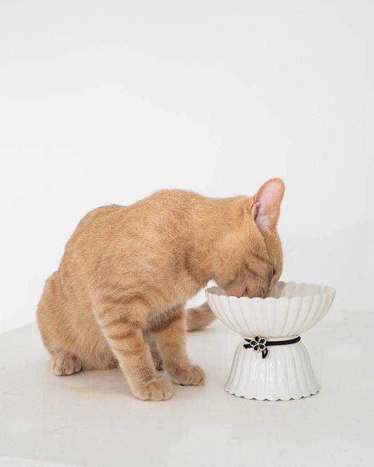 Cat Ceramic Bowl - White & Black Flower