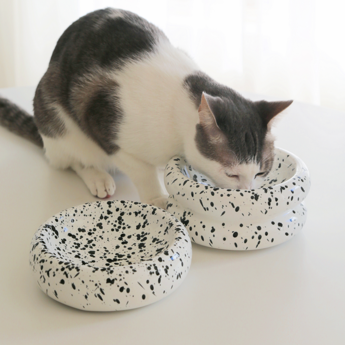 Elevated Halo Cat Bowl in Ink