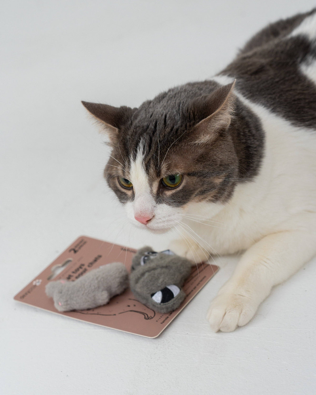 Backyard Buddies Catnip Cat Toys - 2-Pack