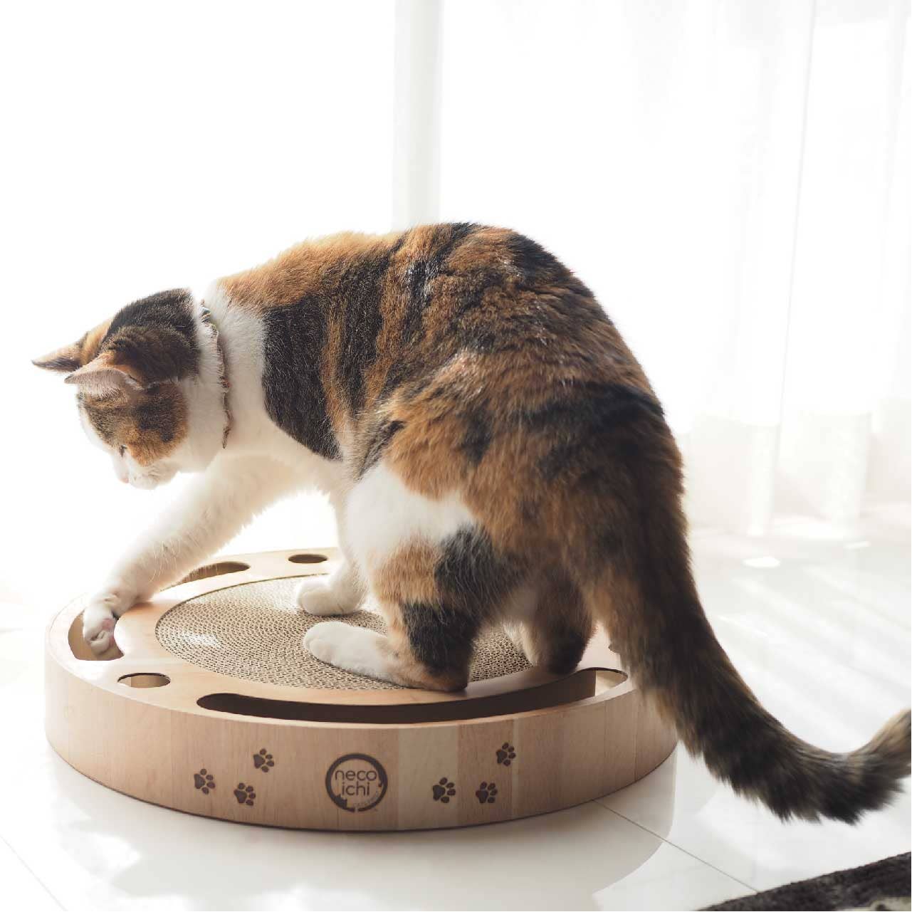 Necoichi Interactive Track Ball Cat Scratcher