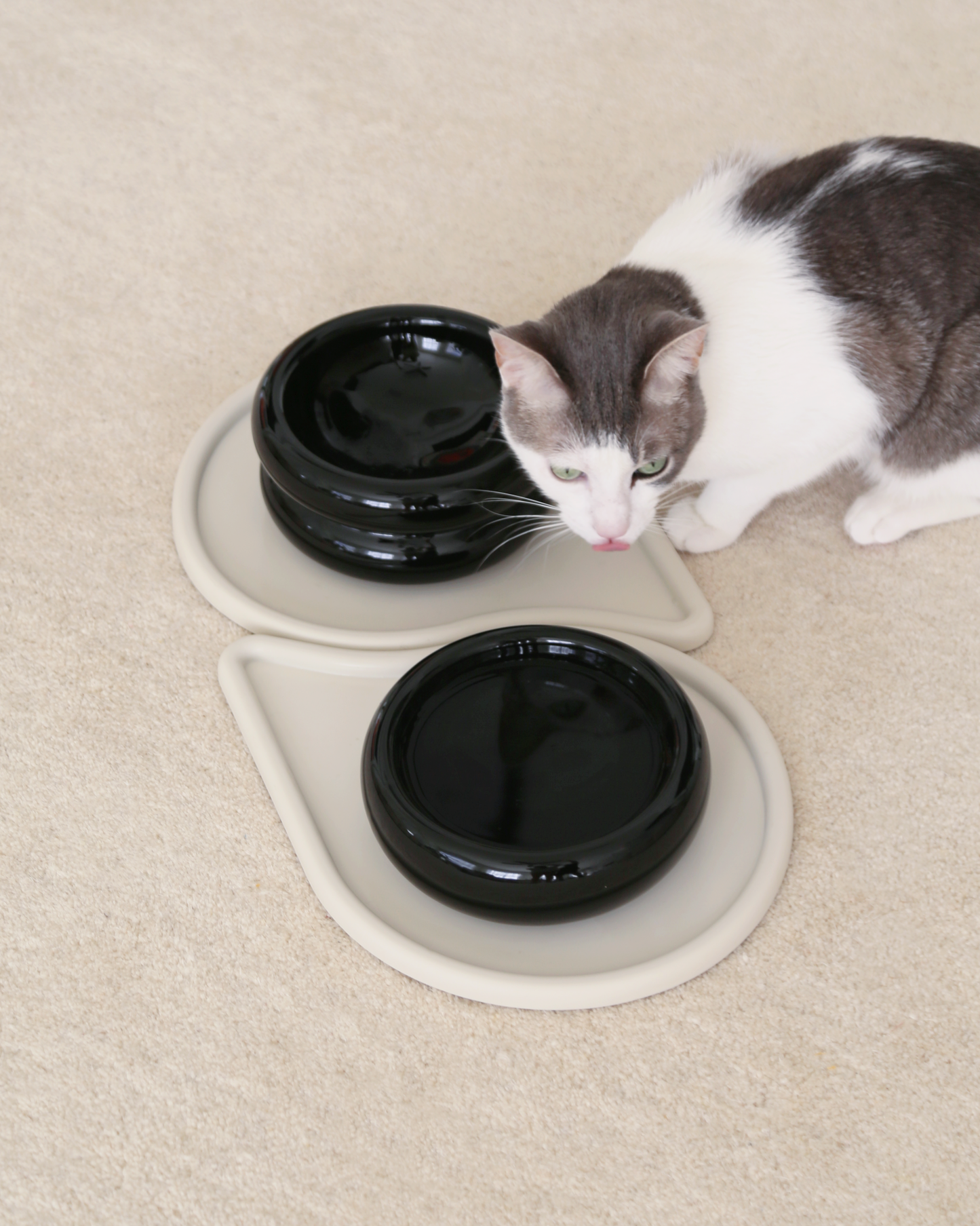 Halo Pet Bowl in Onyx