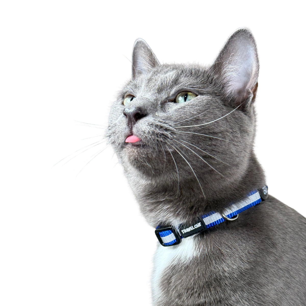Travel Cat Breakaway Cat Collar