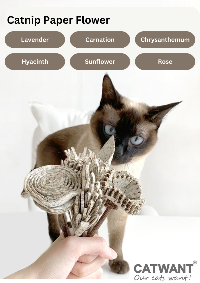 CATWANT Catnip Paper Flower Cat Toys