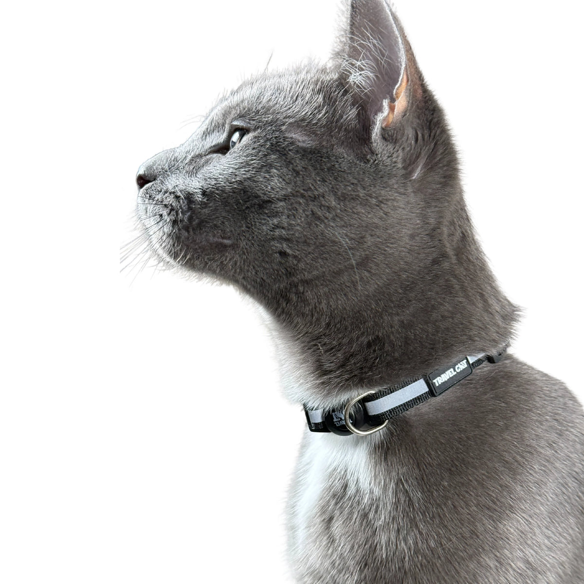 Travel Cat Breakaway Cat Collar