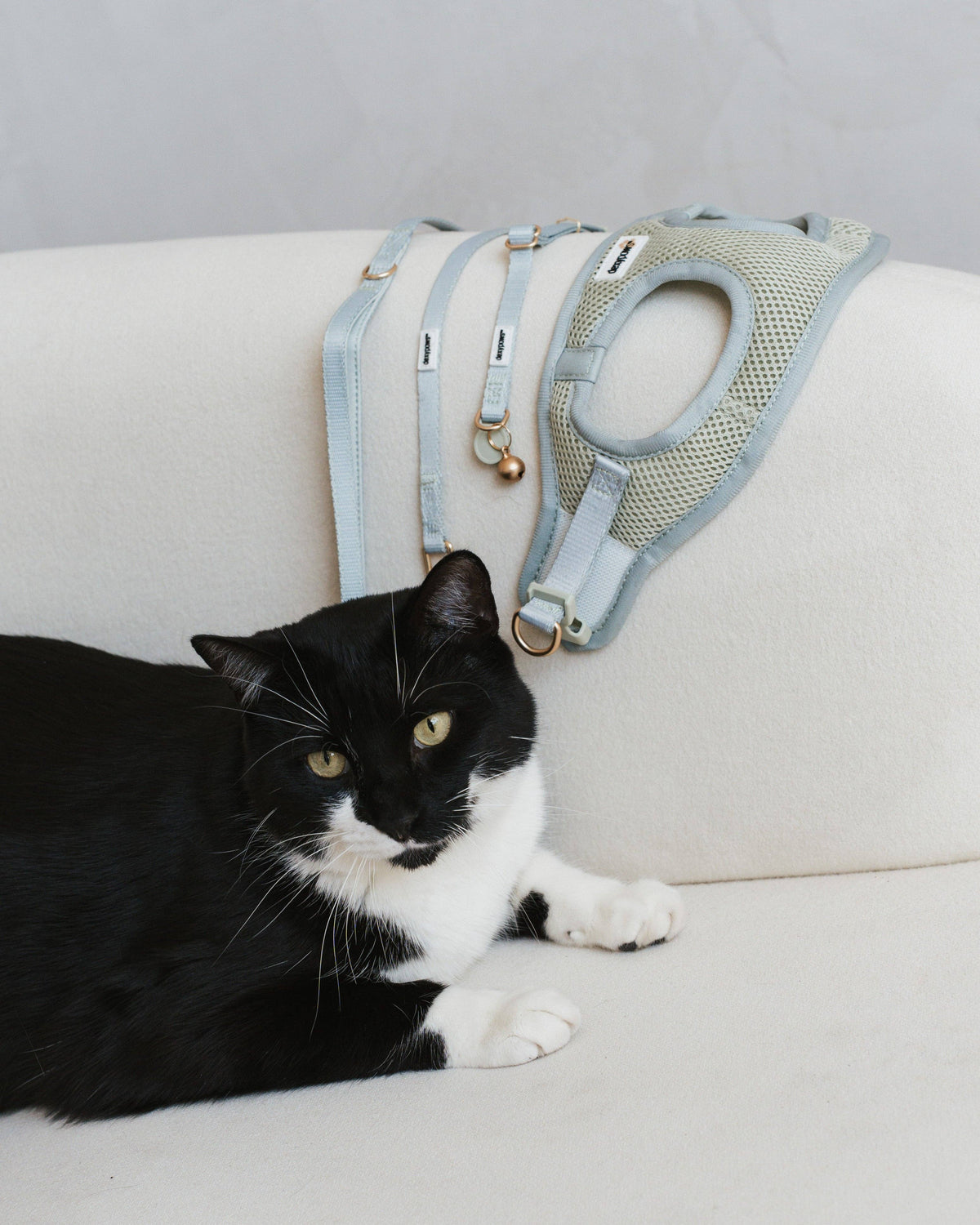 Dexypaws Cat Leash - Sage