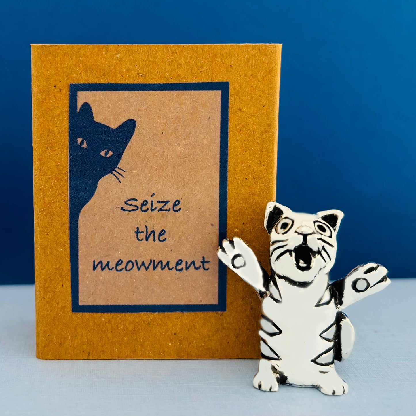 Cat "Seize the meowment" Matchbox Messages