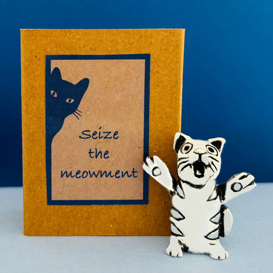 Cat "Seize the meowment" Matchbox Messages