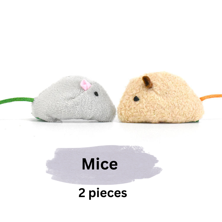 Catnip/Silvervine Small Pet Toys, 2-Pack