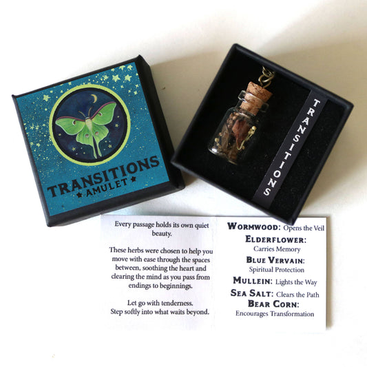 Transitions Amulet - Change and Renewal Talisman with Luna Moth