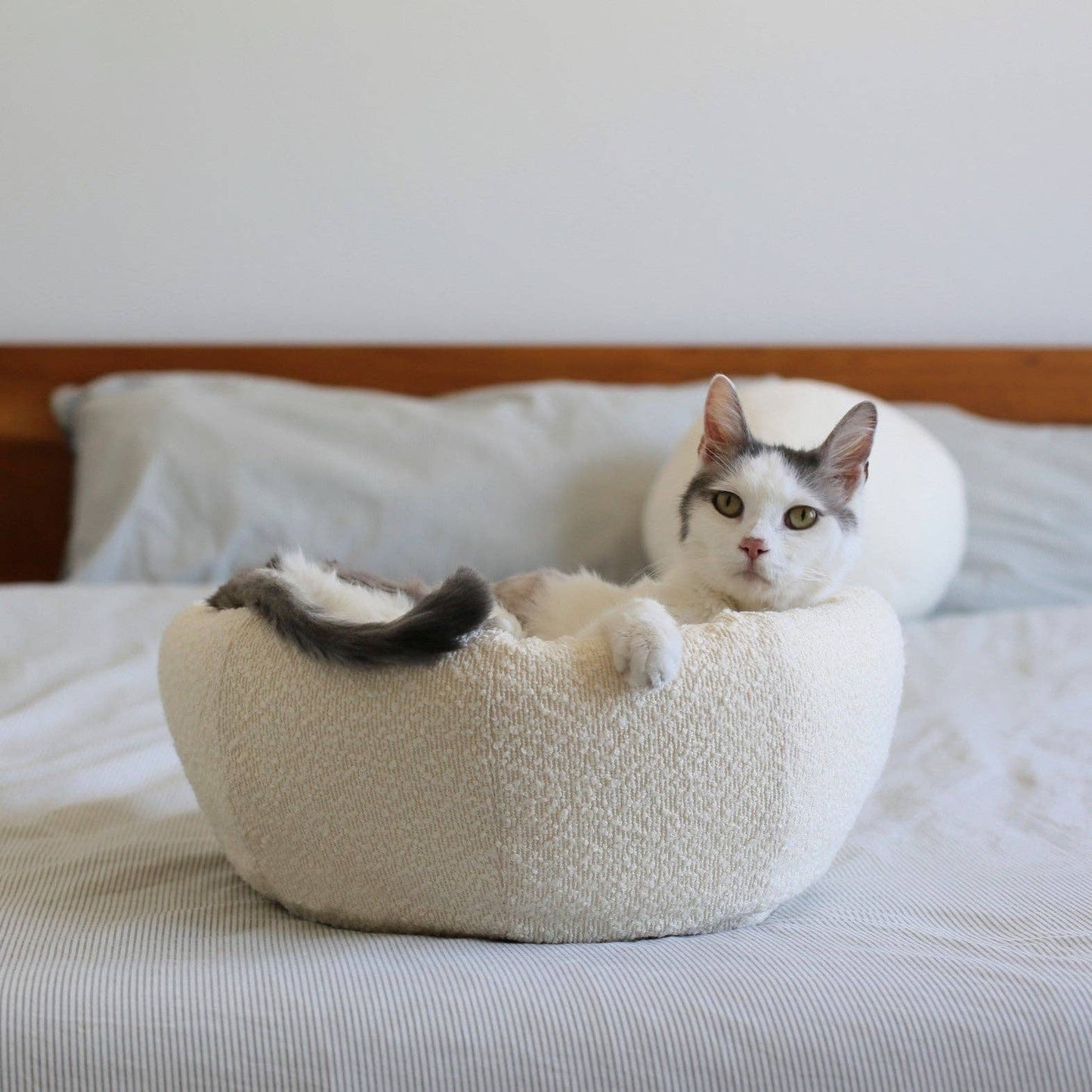 Moon Pet Cave - Boucle