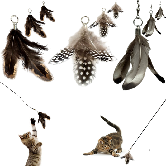 Repounce Feather Toy Attachment Set (9-Piece)