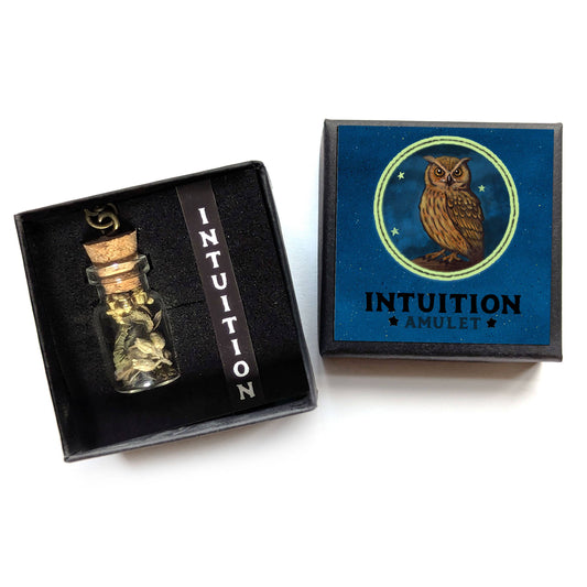 Intuition Amulet - Insight & Clarity Talisman Necklace with Owl