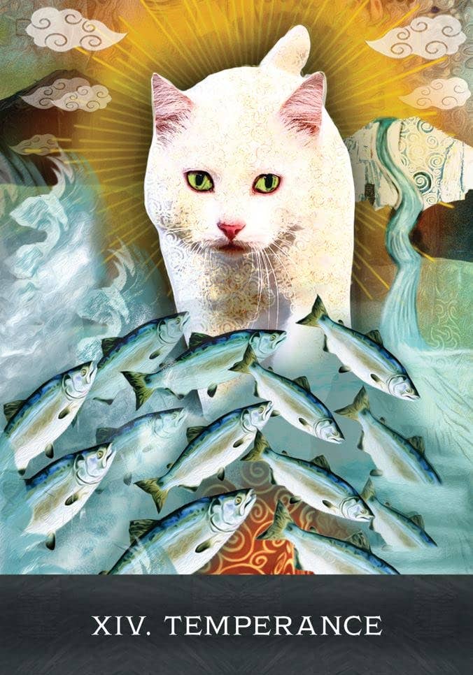 Grimalkin's Curious Cats Tarot Cards
