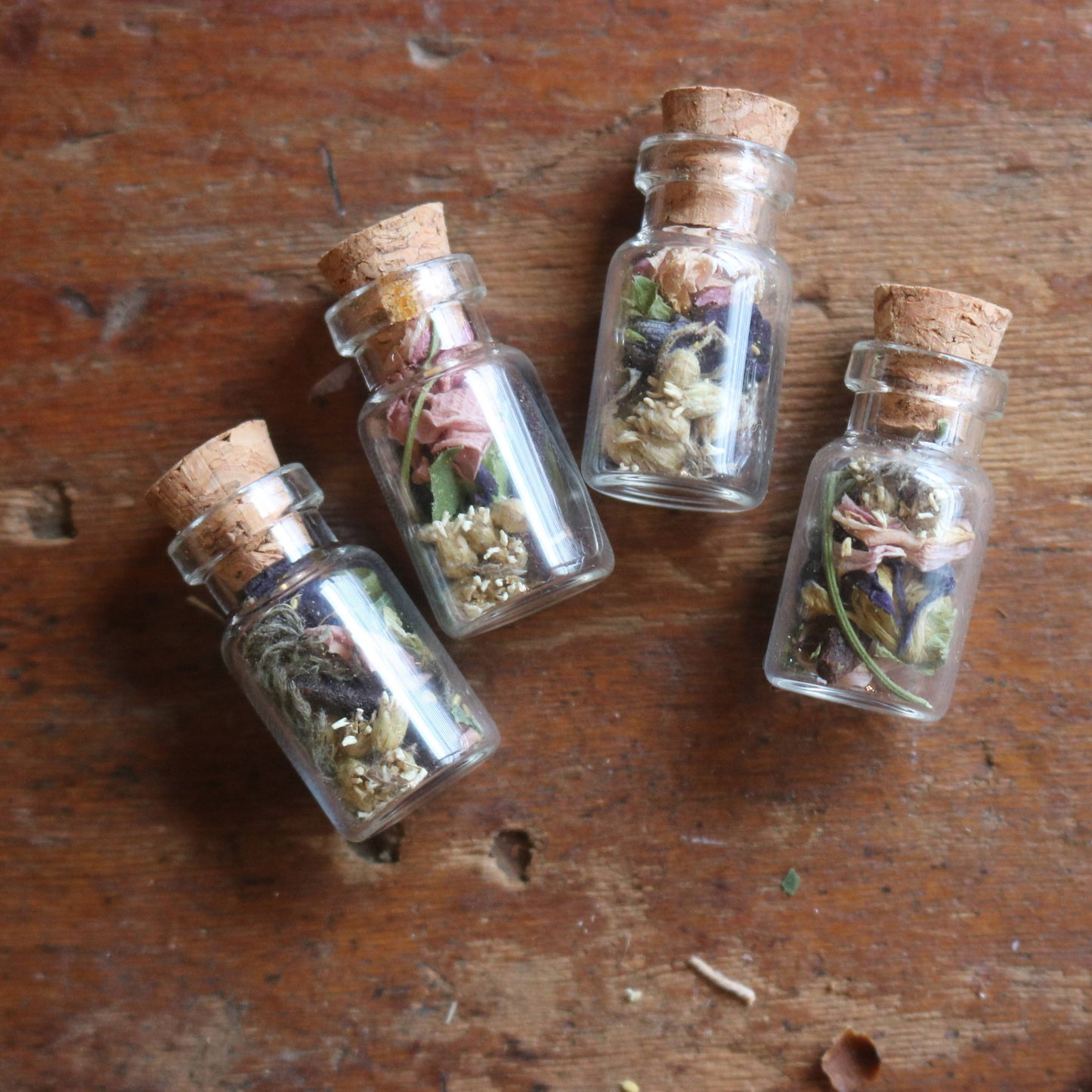 Wisdom Botanical Amulet - for Knowledge and Learning with Raven