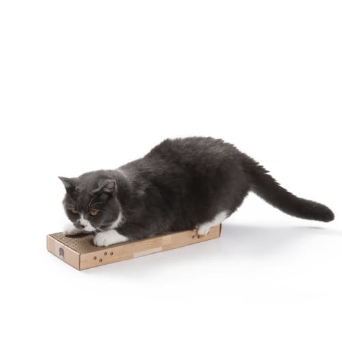 Hang & Scratch Doorknob Scratcher (Oak)