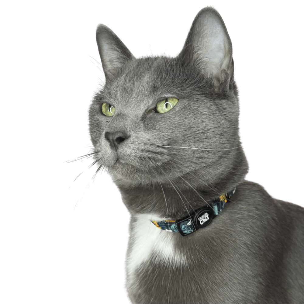 Travel Cat Breakaway Cat Collar