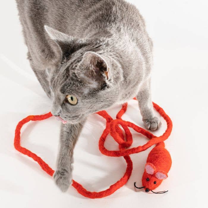 Wool Mouse Cat Toy with 6-Foot Tail