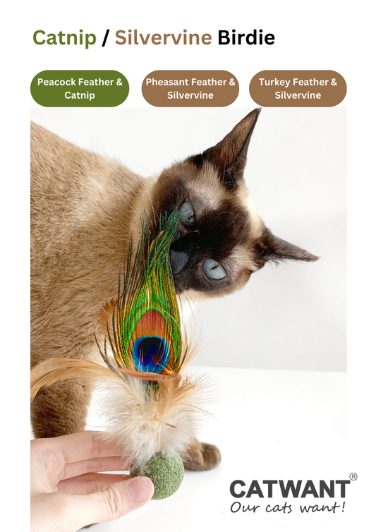 Silvervine / Catnip Birdie Cat Toy