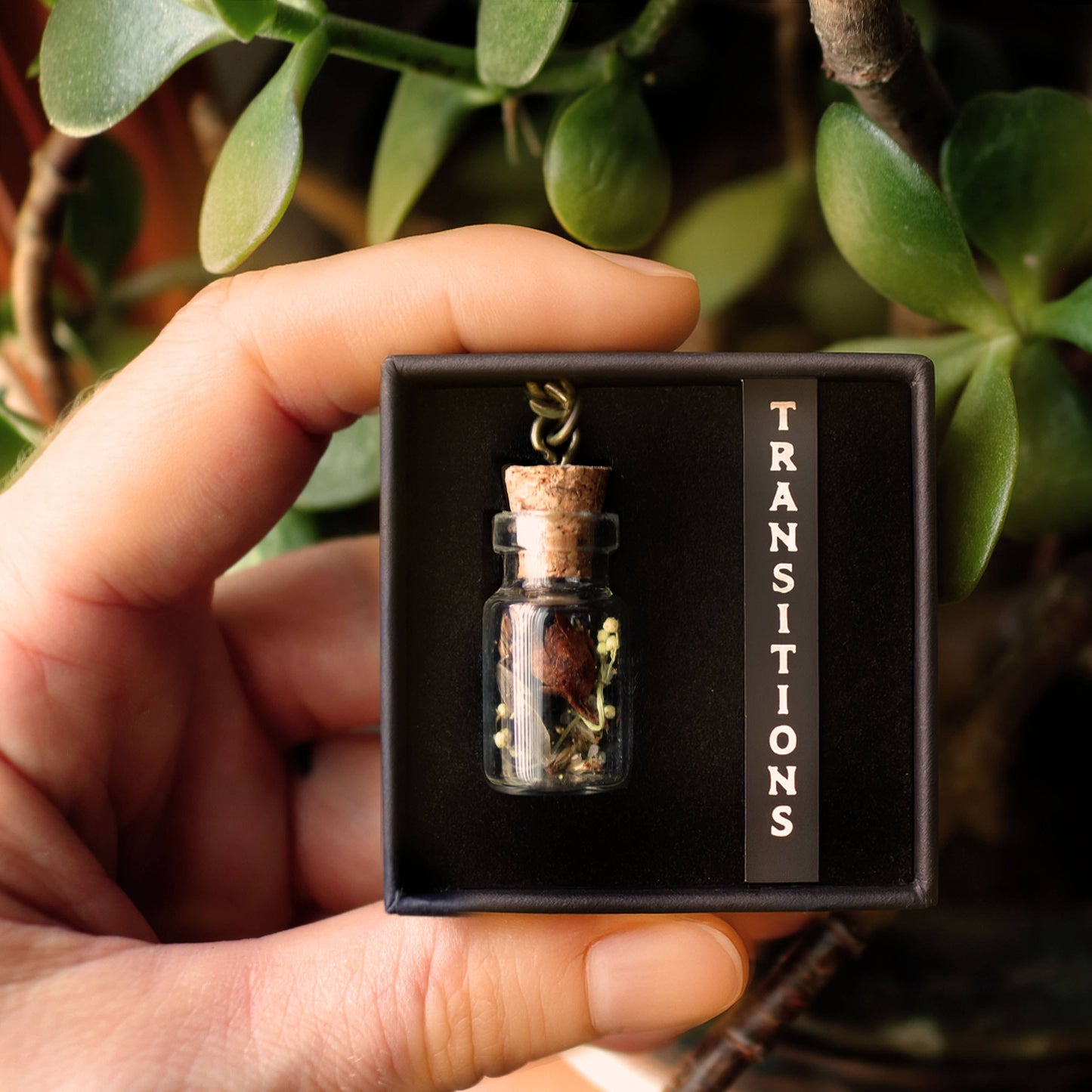 Transitions Amulet - Change and Renewal Talisman with Luna Moth
