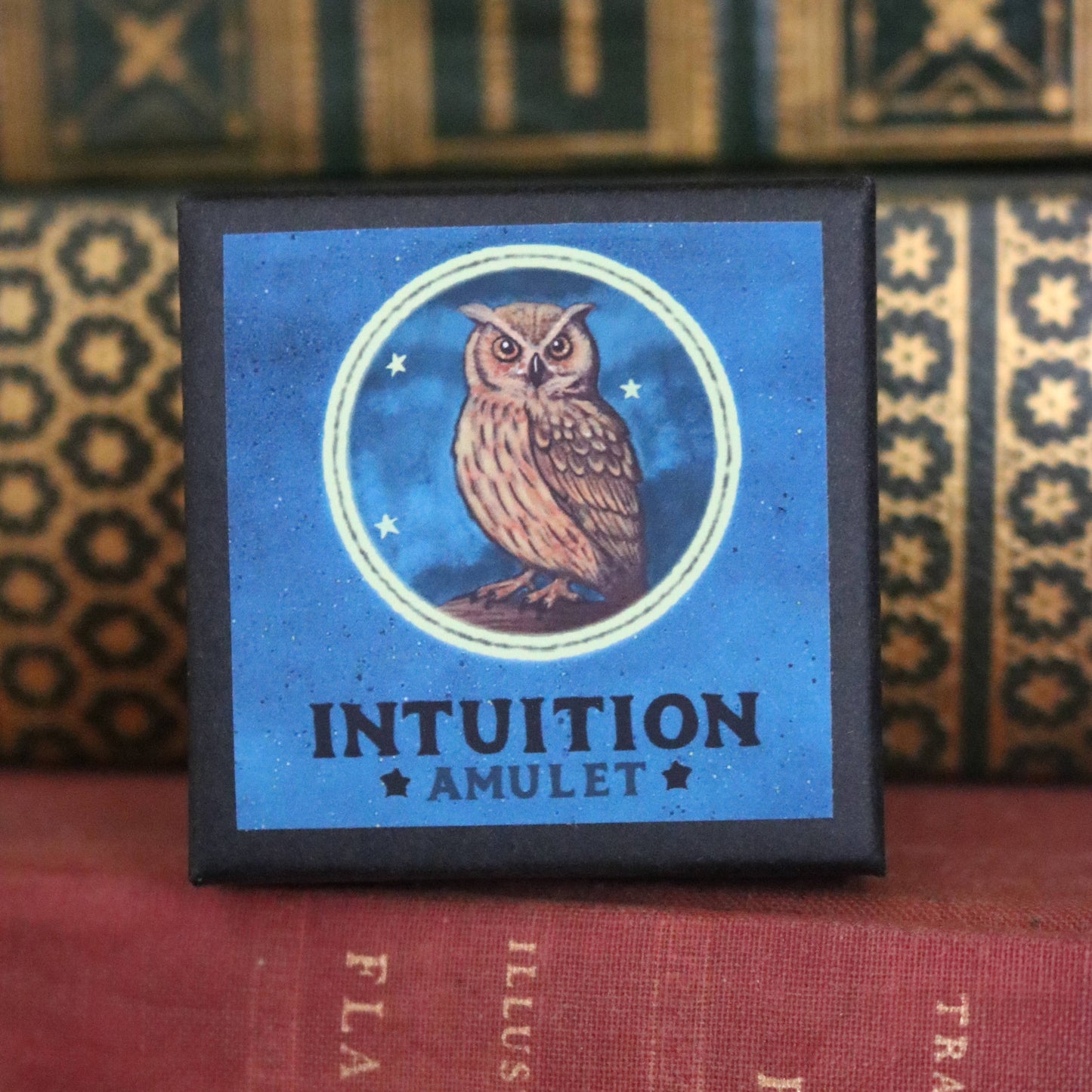 Intuition Amulet - Insight & Clarity Talisman Necklace with Owl