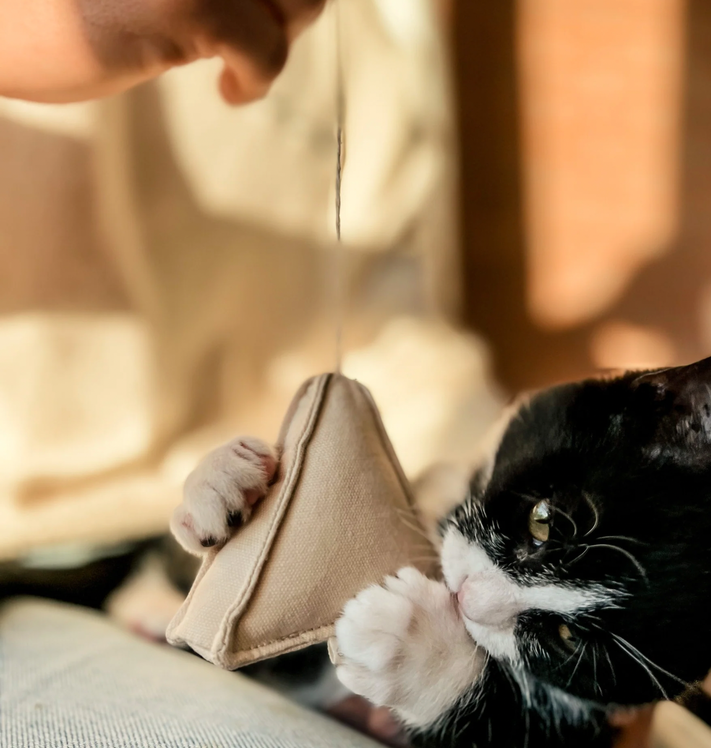 Cat Toy Tea Time
