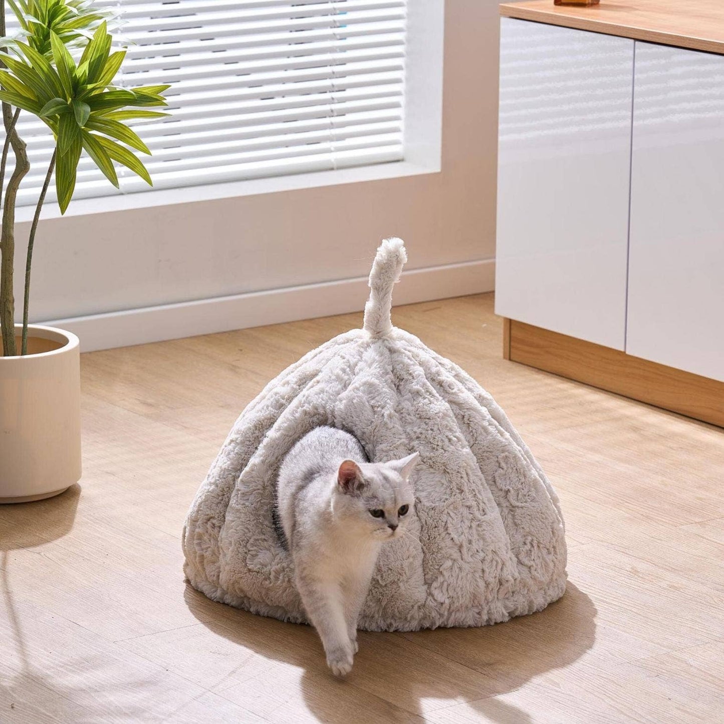 PetPals Anxiety Calming Cat Bed - Rose Hut