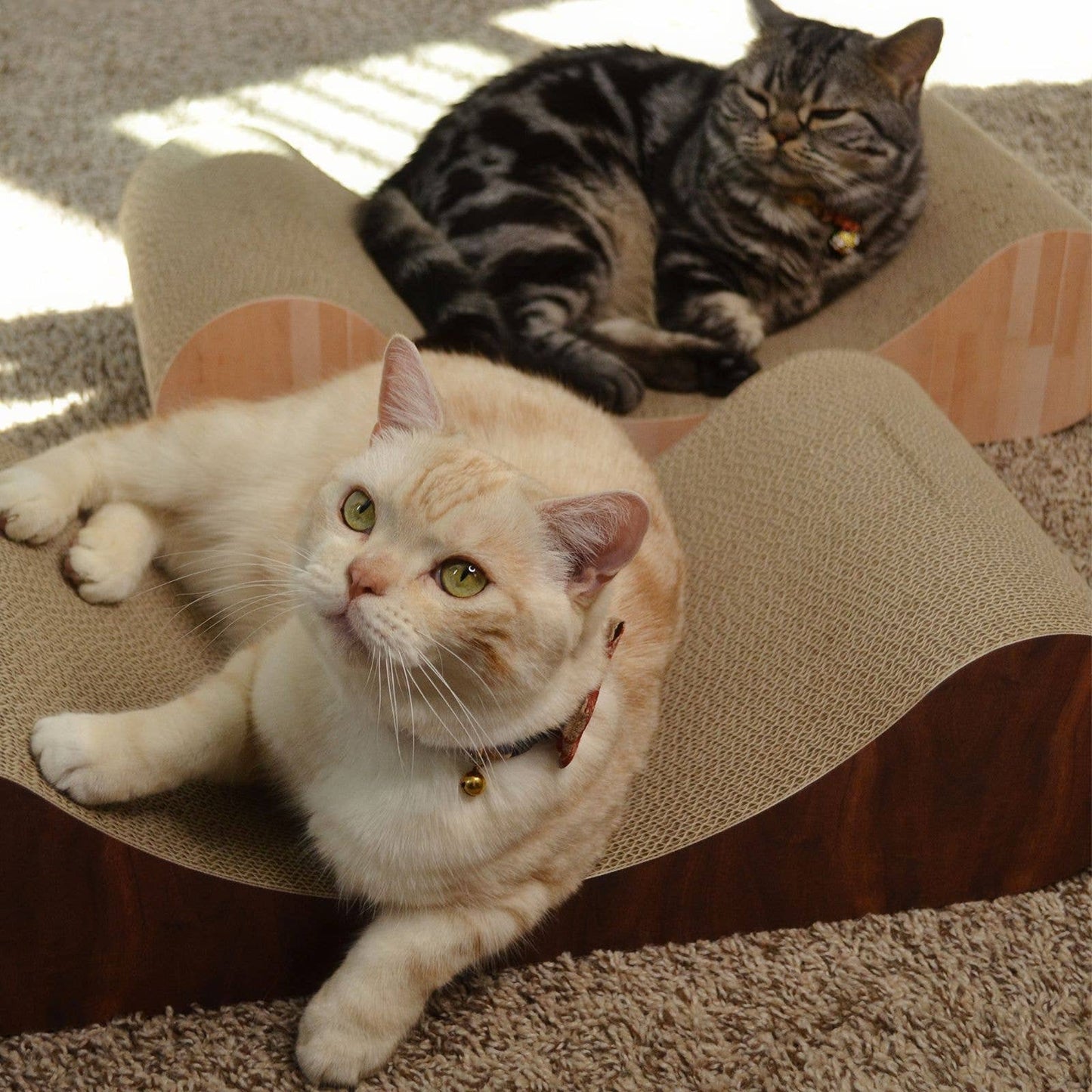 Premium Comfort Curved Cat Lounger Large (Oak)