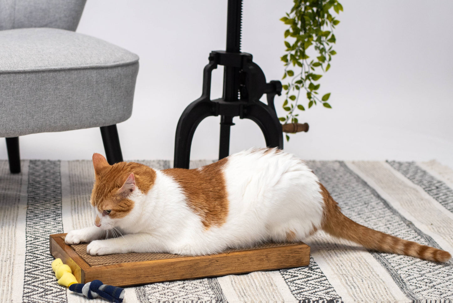 Wide Handmade Wooden Cat Scratch Board | Cat Scratcher Guy