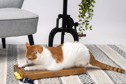 Wide Handmade Wooden Cat Scratch Board | Cat Scratcher Guy