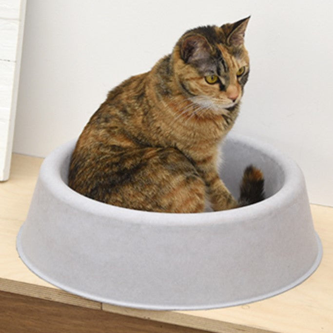 Cozy on Mat Cat Lounge