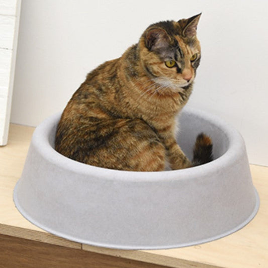 Cozy on Mat Cat Lounge