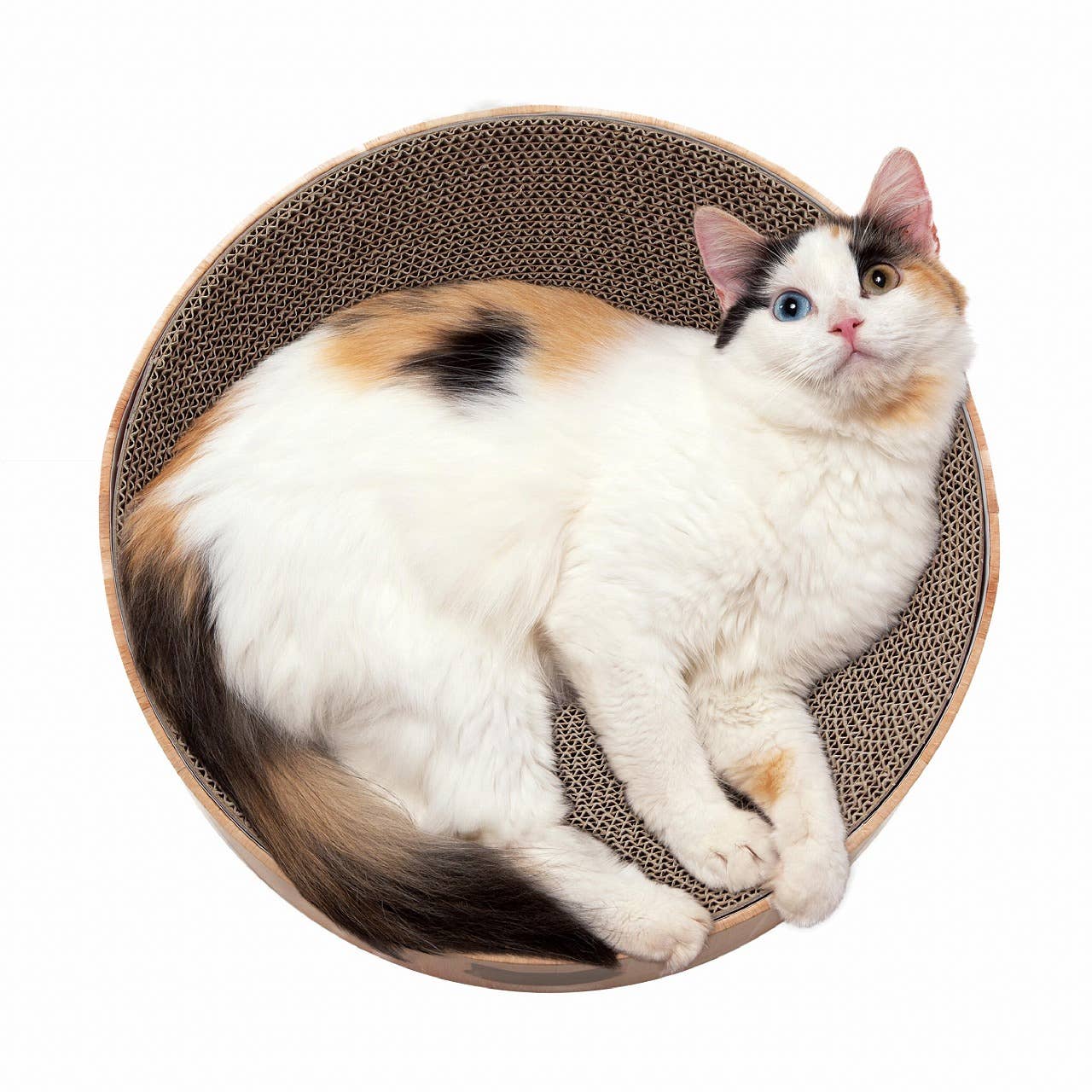 Cozy Cat Scratcher Bowl
