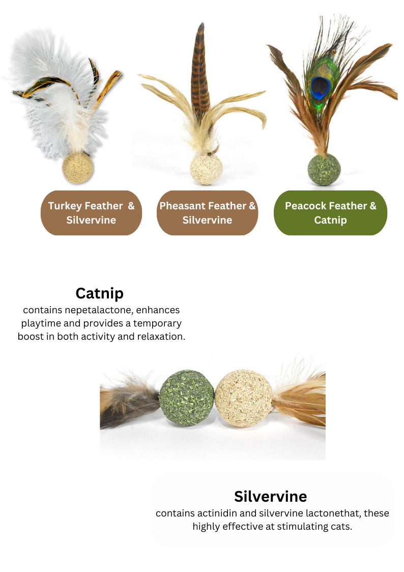 Silvervine / Catnip Birdie Cat Toy