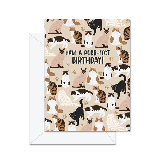 Jaybee Designs Greeting Card / Have A Purr-fect Birthday
